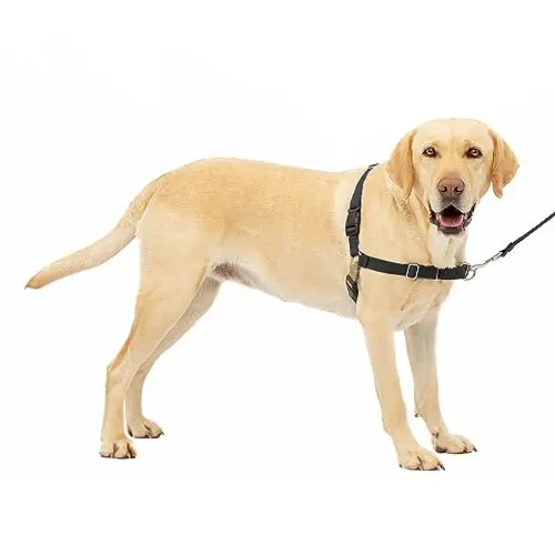 PetSafe Easy Walk no-pull dog harness in black and silver
