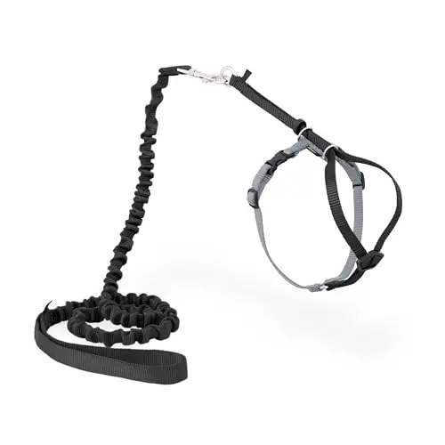 PetSafe black nylon cat harness with a connected bungee leash