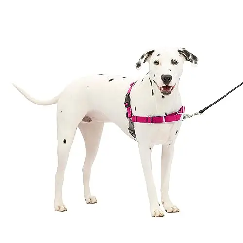 PetSafe Easy Walk no pull dog harness