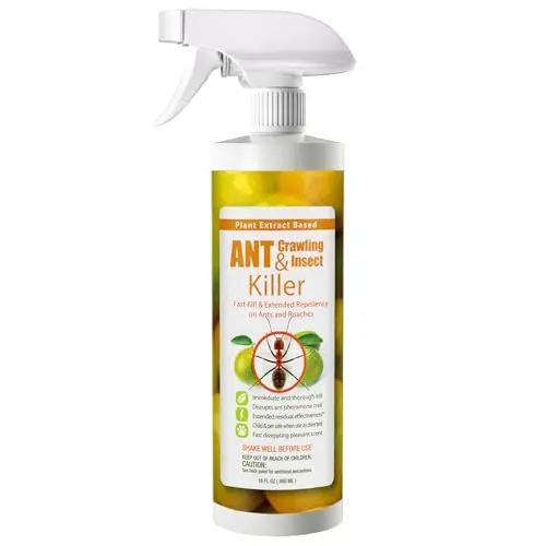 EcoVenger ant killer aerosol spray can with citrus scent