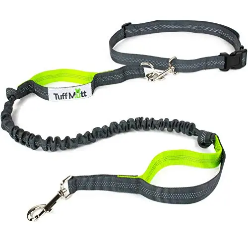 Green and gray Tuff Mutt hands-free bungee dog leash with a sliding belt clip