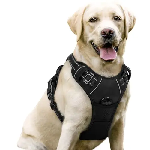 rabbitgoo black dog harness with padded vest, reflective strips, and a top handle