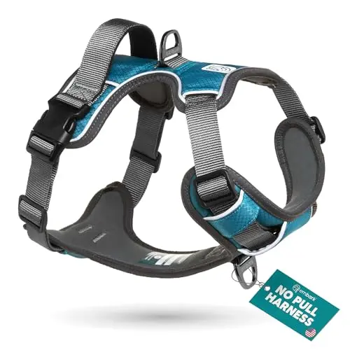 Embark Pets Blue XL Adventure Dog Harness