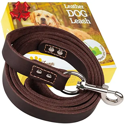 ADITYNA genuine leather dog leash with heavy-duty clasp