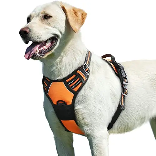 EAGLOO orange no-pull dog harness with metal rings and a top handle