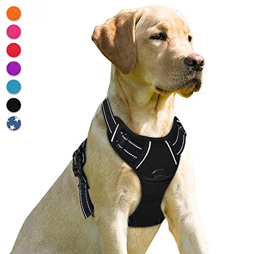 Black BARKBAY front clip harness on a large dog