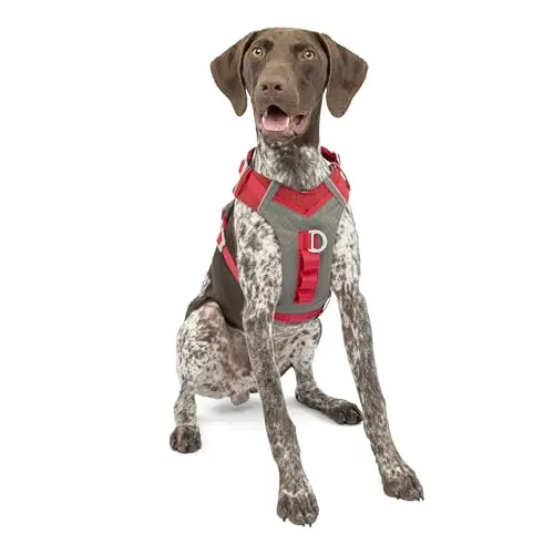 Kurgo Journey Air red dog harness made of ripstop fabric and mesh