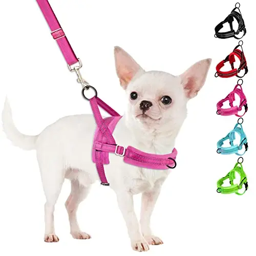 SlowTon No Pull Small Dog Harness and Leash Set in fuchsia