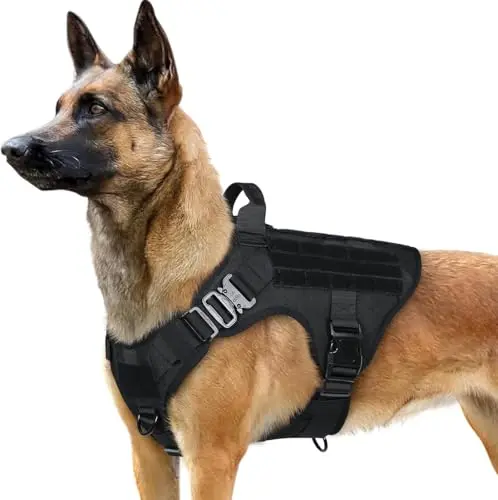 Rabbitgoo tactical heavy-duty dog harness with MOLLE panels