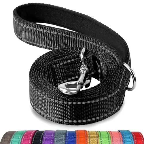 Joytale 6-foot black nylon dog leash with reflective stitching and a padded handle.