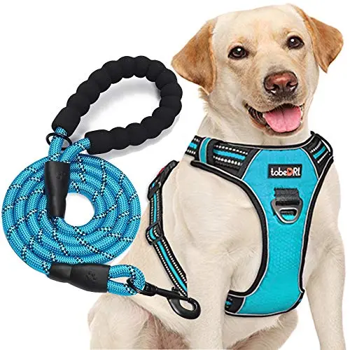 TobeDRI Blue Dog Harness with matching leash