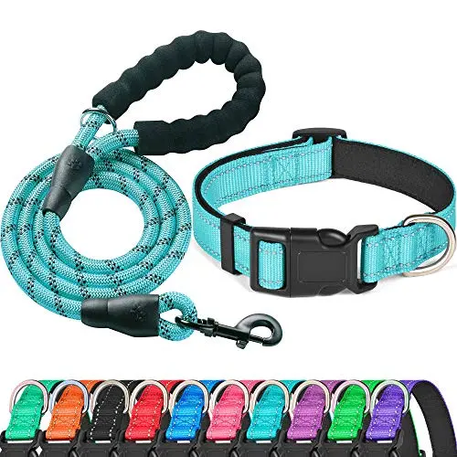 Ladoogo blue reflective dog collar and matching leash set with neoprene padding.