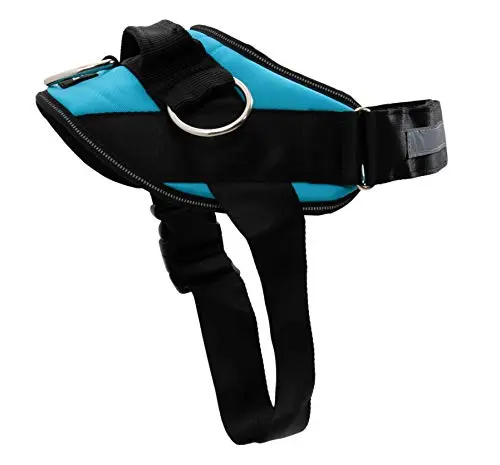 ShawnCo Essential Oceanic Blue Dog Harness