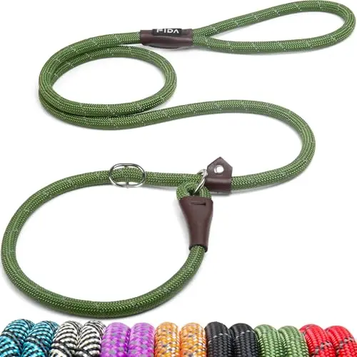 Fida green slip lead dog leash with reflective strips and leather details.