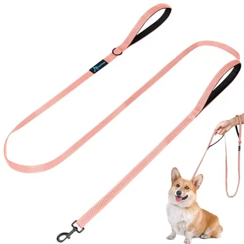 PuppyDoggy pink dog leash with two padded handles and reflective stitching