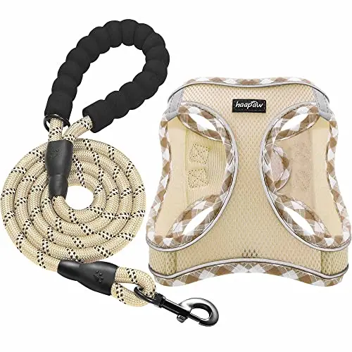 HAAPAW beige padded dog harness with leash on a small dog