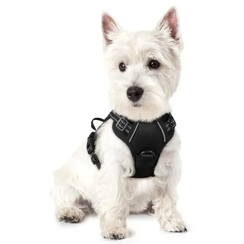 RABBITGOO black adjustable dog harness with reflective strips and a top handle.