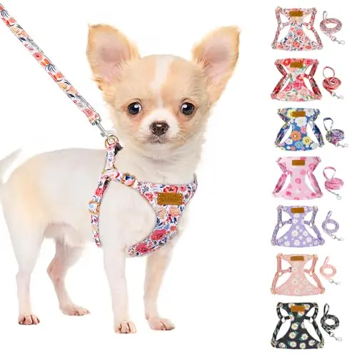 SlowTon floral pattern dog harness and leash on a small white dog