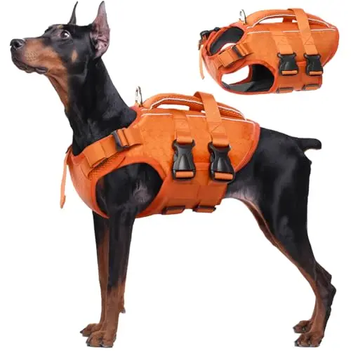 Kuoser orange XXL dog life vest with reflective strips