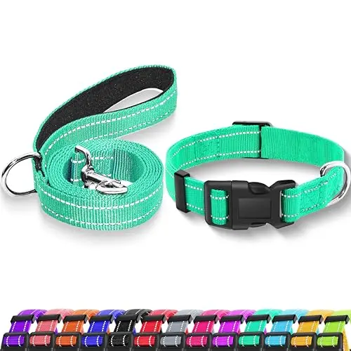 Maiiu turquoise reflective dog collar and leash set with a safety locking buckle.
