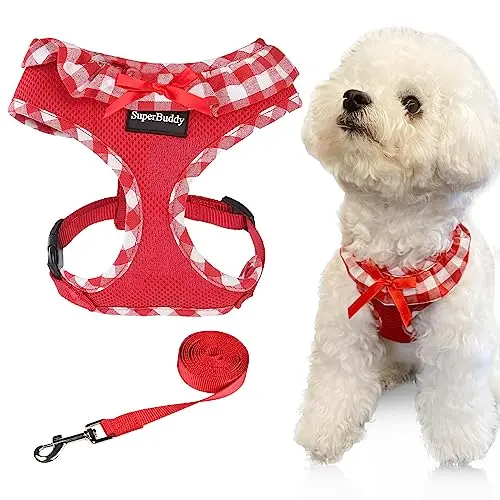 SuperBuddy red dog harness with floral bib and bowtie decoration