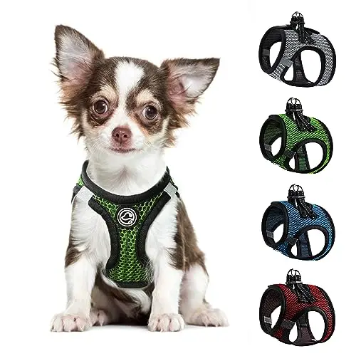 Simple green mesh step-in dog harness laid flat