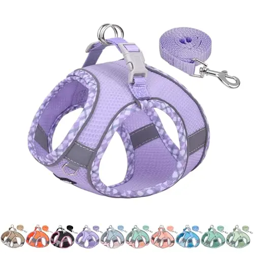 AIITLE purple plaid XXS dog harness and leash set for small dogs like Maltese