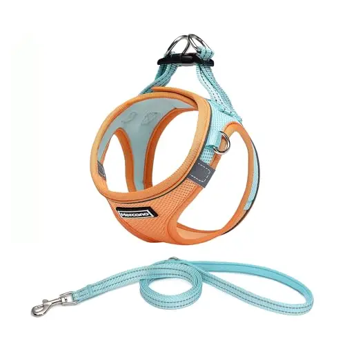 Mercano Soft Mesh Dog Harness and Leash Set in orange and blue