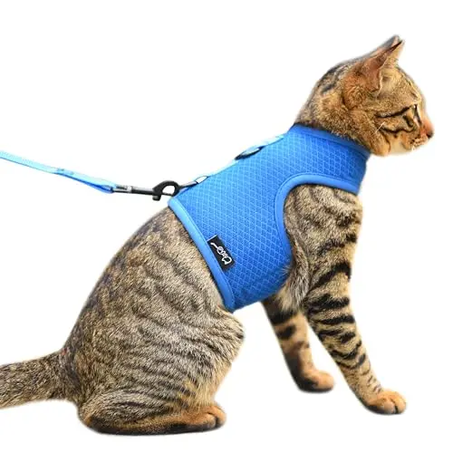 Yizhi Miaow Blue Mesh Cat Harness with velcro closure