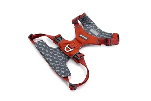 Winchester Pet red padded dog vest harness on a medium-sized dog