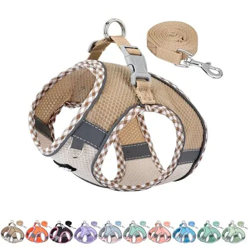 AIITLE lightweight mesh step-in harness on a tiny brown and white dog