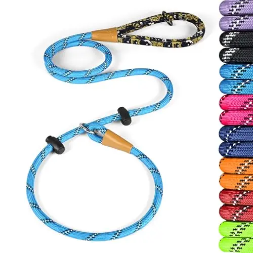 Lynxking reflective nylon slip lead leash for large dogs during a night walk