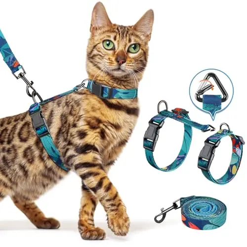 HALYPET H300 Pro Cat Harness in Morandi Green, showing its adjustable straps