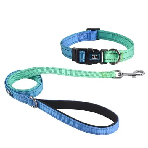 Roses&Poetry blue-green reflective dog collar and leash set with double stitching.