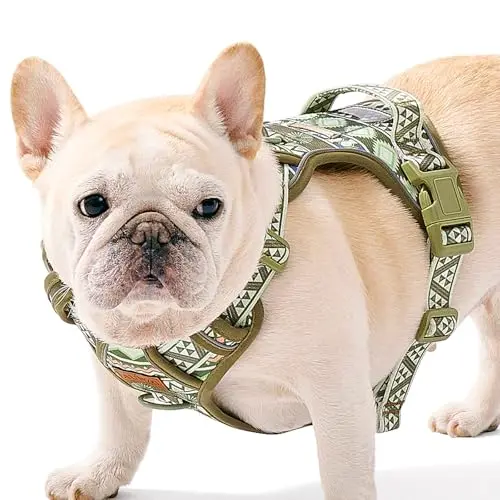 AUNZO green geometric patterned dog vest harness with handle