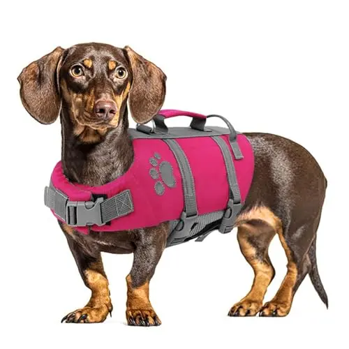 Queenmore dog life vest in bright fuchsia pink with a strong top rescue handle.
