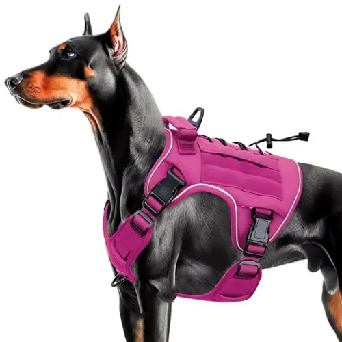 Bruvoalon pink tactical dog harness with reflective strips and a front D-ring