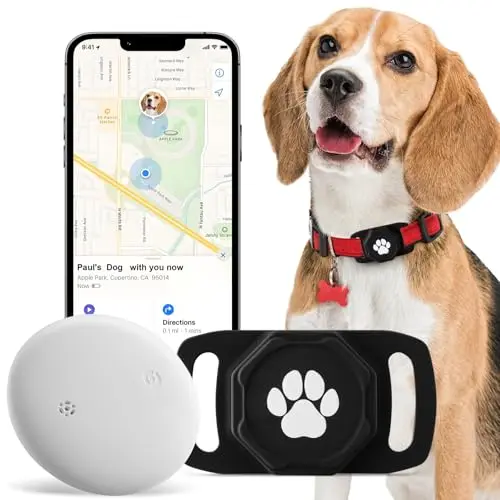 Ztobny black silicone holder for an Apple AirTag on a dog collar