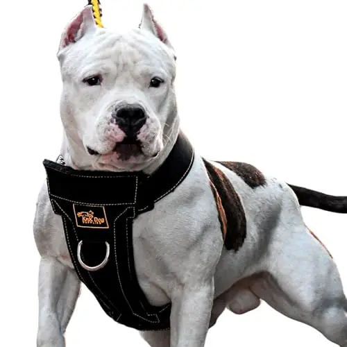 KNK Heavy Duty No Pull Dog Harness for Pitbulls in black