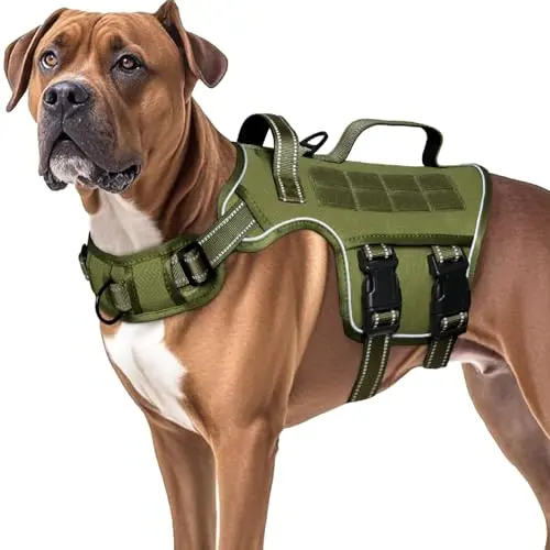 Green RunFido no-pull dog harness on a large dog