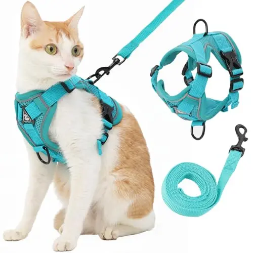 KODERVO Reflective Cat Harness in Turquoise, showing four adjustment buckles