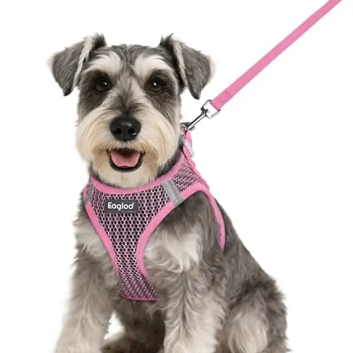 Eagloo Step-in Dog Harness and Leash Set in pink for small dogs