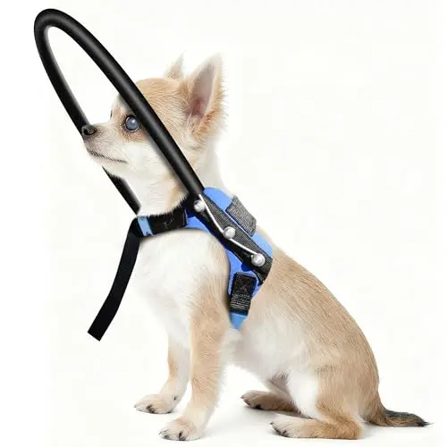 LetPetRun blind dog halo harness with protective ring and vest