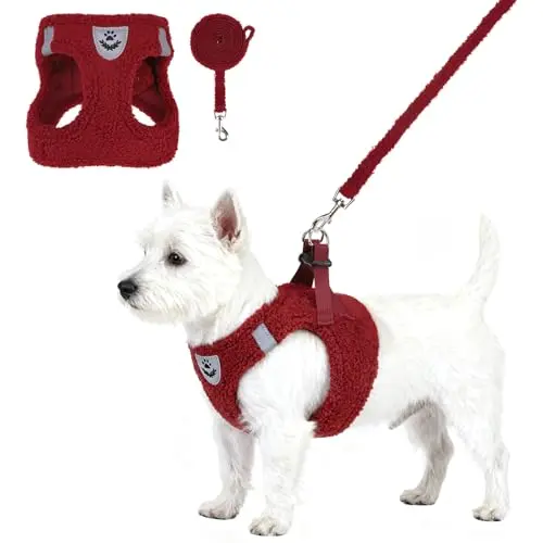 KOOLTAIL plush red fleece dog harness and leash set on a small fluffy dog