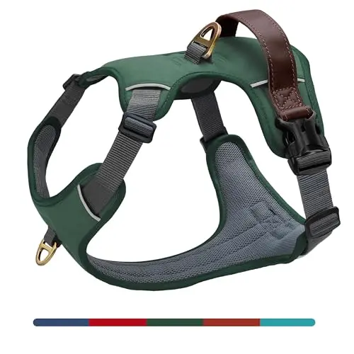 AKAILEA green faux leather dog harness with a vintage look and reflective trim.